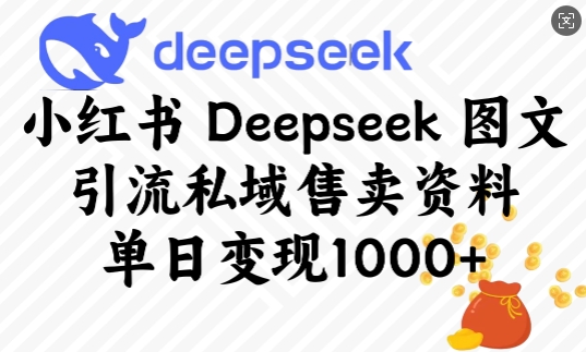 小红书Deepseek图文引流私域售卖资料，单日变现多张-枫客网创