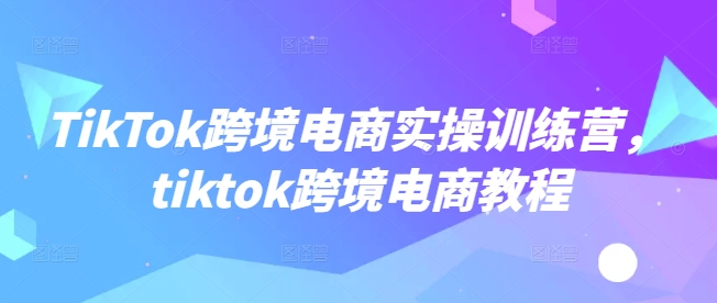 TikTok跨境电商实操训练营，tiktok跨境电商教程-枫客网创