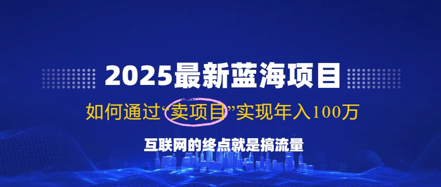 2025最新蓝海项目，零门槛轻松复制，月入10万+，新手也能操作！-枫客网创