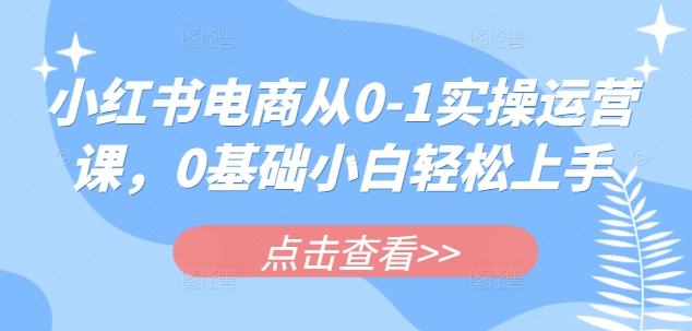 小红书电商从0-1实操运营课，0基础小白轻松上手-枫客网创