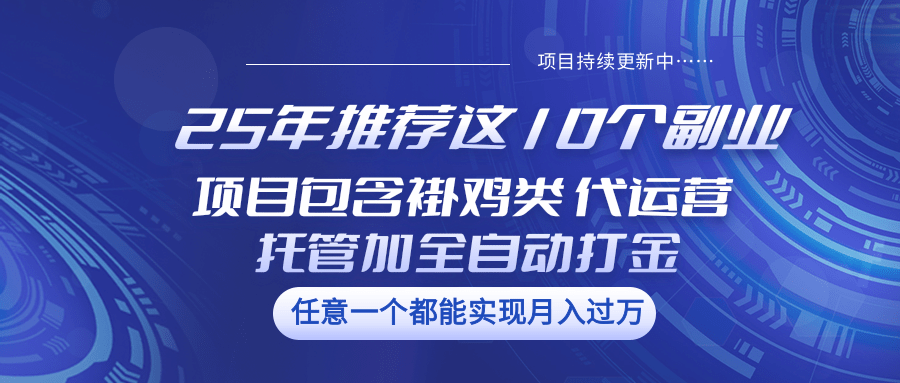 25年推荐这10个副业 项目包含褂鸡类、代运营托管类、全自动打金类-枫客网创