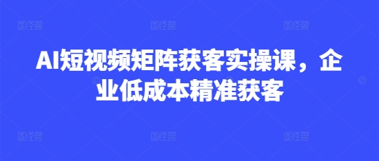 AI短视频矩阵获客实操课，企业低成本精准获客-枫客网创