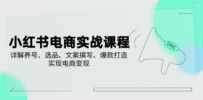 小红书电商实战课程，详解养号、选品、文案撰写、爆款打造，实现电商变现-枫客网创