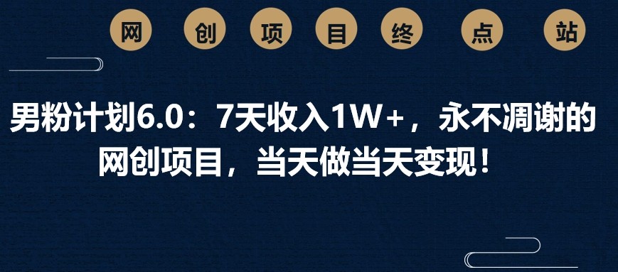 男粉计划6.0：7天收入1W+，永不凋谢的网创项目，当天做当天变现！-枫客网创