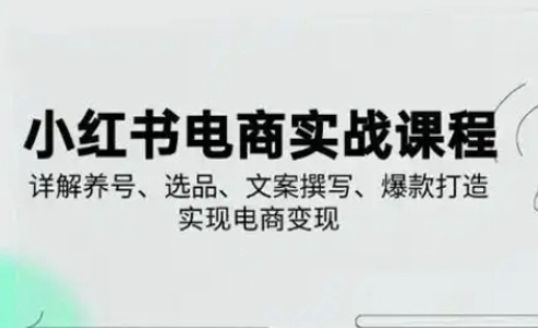小红书从0-1实操课(2023-2025)，详解养号、选品、文案撰写、爆款打造实现电商变现-枫客网创