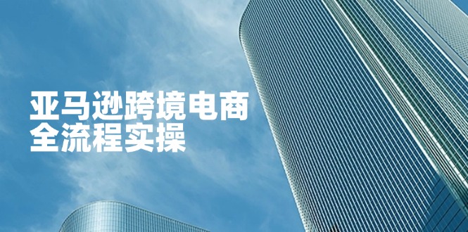 亚马逊跨境电商全流程实操，教你从零开始，掌握店铺运营与广告技巧-枫客网创