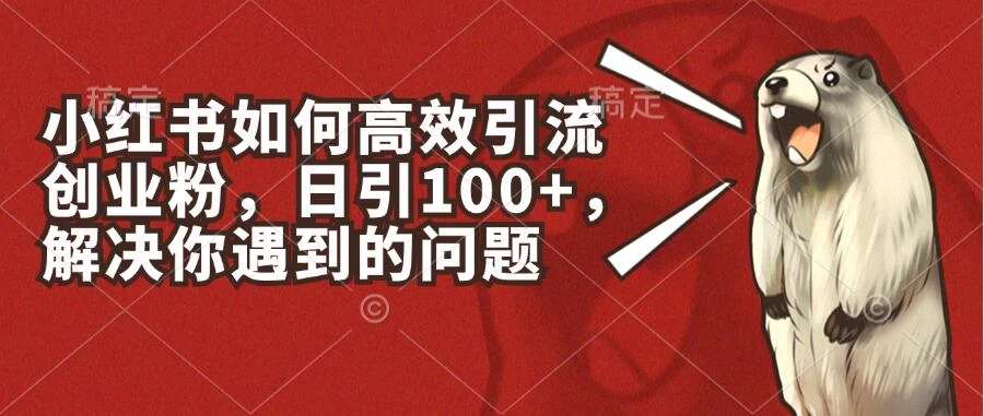 小红书如何高效引流创业粉，日引100+，解决你遇到的问题-枫客网创