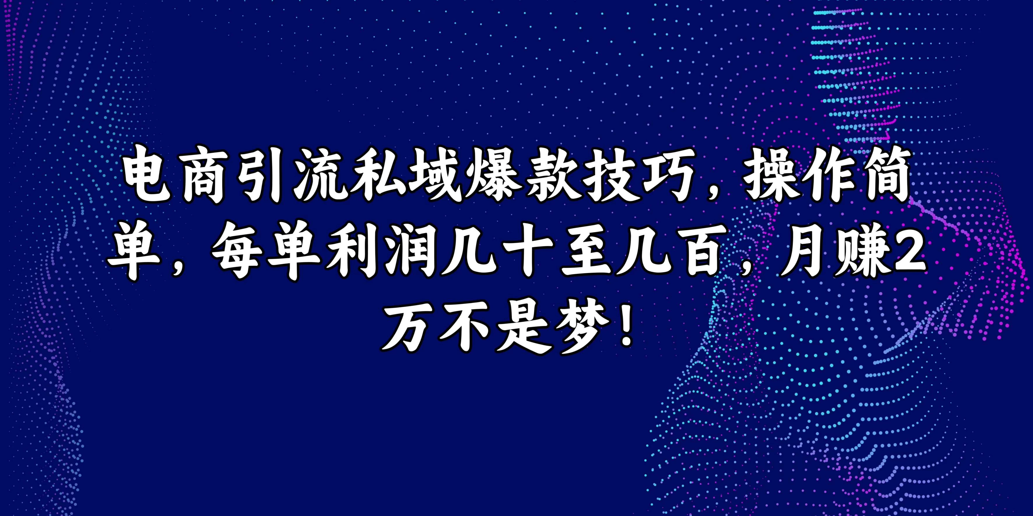 电商引流私域爆款技巧，操作简单，每单利润几十至几百，月赚2万不是梦！-枫客网创