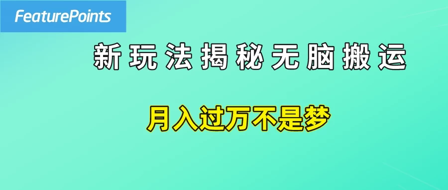 简单操作，每天50美元收入，搬运就是赚钱的秘诀！-枫客网创