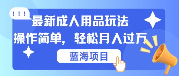 最新成人用品项目玩法，操作简单，蓝海项目轻松月入过万-枫客网创