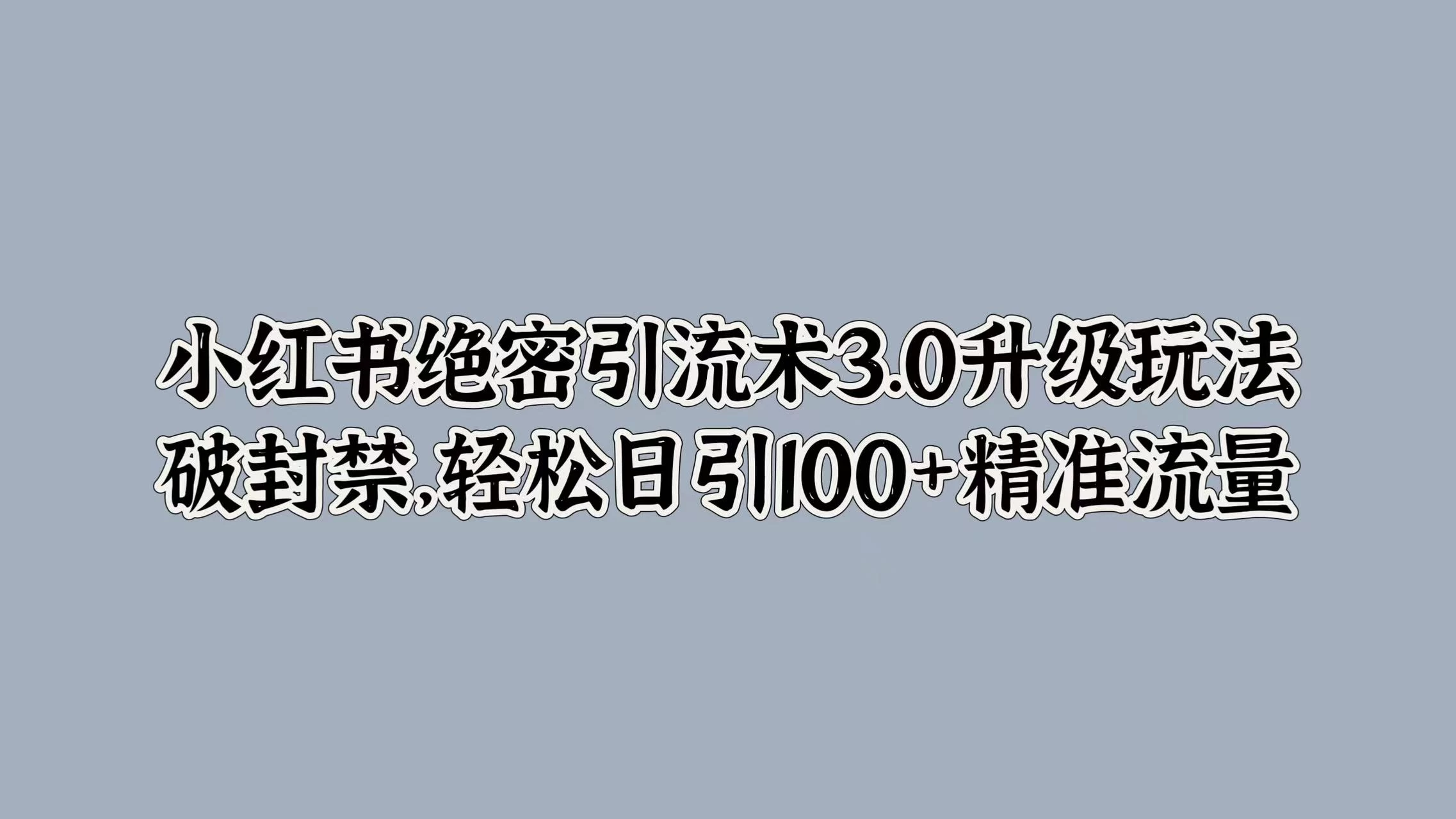 小红书绝密引流术3.0升级玩法，破封禁，轻松日引100+精准流量-枫客网创