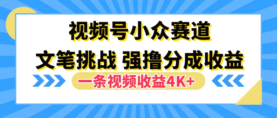 视频号小众赛道，文笔挑战，一条视频收益4K+-枫客网创